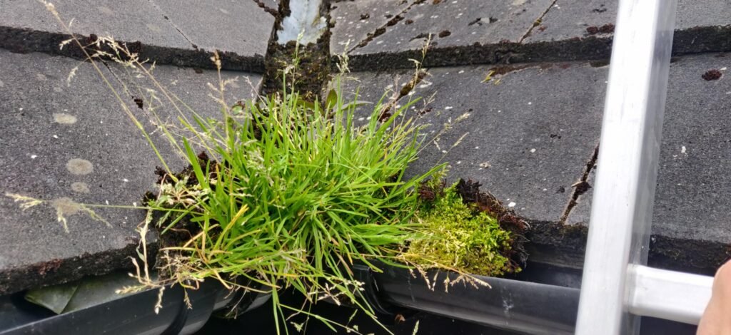 1981237d b96e 4d15 8c92 52b013c81bc8