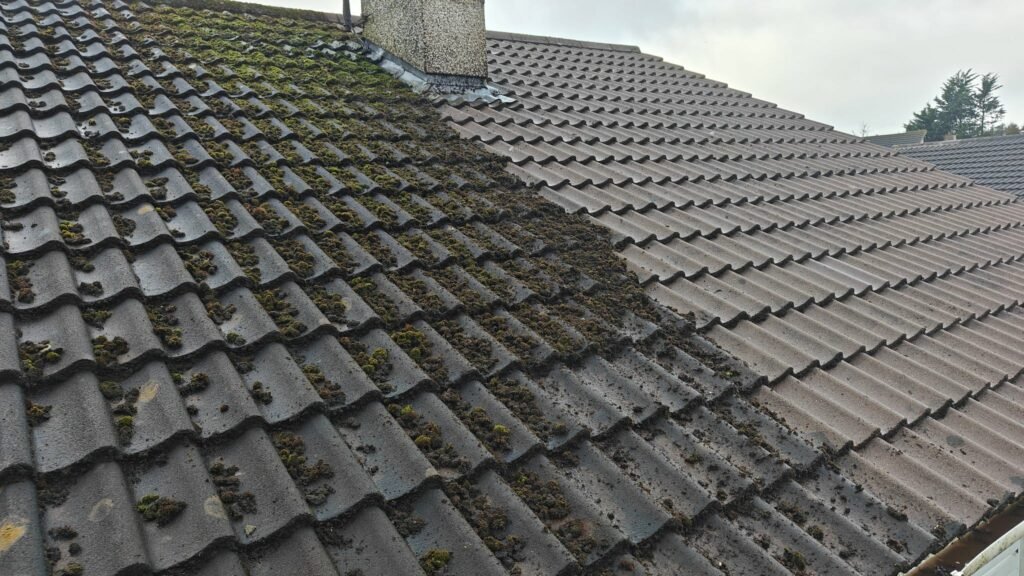 D5f0b3f8 0134 4541 af1f 2f0e29316368